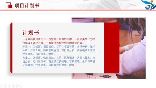 互聯(lián)網(wǎng),計劃書,創(chuàng)業(yè)項目,加大