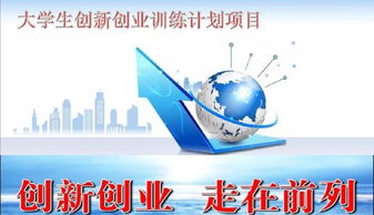 國家級大學(xué)生創(chuàng  )新創(chuàng  )業(yè)計劃內容包括