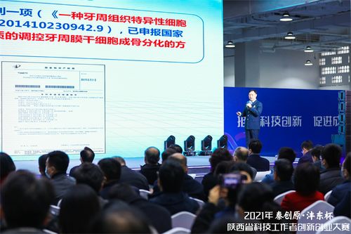 都要,創(chuàng)業(yè)項目,比賽,創(chuàng)新