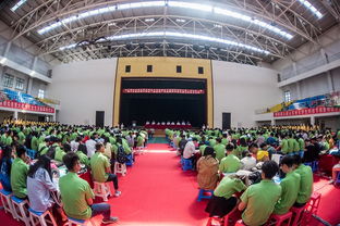 山東省大學生創(chuàng)新創(chuàng)業(yè)訓練計劃平臺,山東省大學生創(chuàng)新創(chuàng)業(yè)官網,山東省大學生創(chuàng)新創(chuàng)業(yè)賽事服務平臺