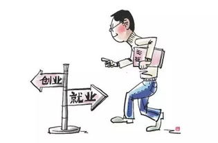 中國(guó)企業(yè)創(chuàng)新創(chuàng)業(yè)成功的案例,企業(yè)創(chuàng)新創(chuàng)業(yè)成功的案例,中國(guó)企業(yè)創(chuàng)新創(chuàng)業(yè)調(diào)查