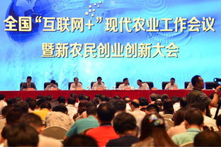 農(nóng)業(yè)創(chuàng)業(yè)創(chuàng)新典型人物故事,農(nóng)業(yè)創(chuàng)業(yè)創(chuàng)新學(xué)員心得體會,農(nóng)業(yè)創(chuàng)新創(chuàng)業(yè)案例
