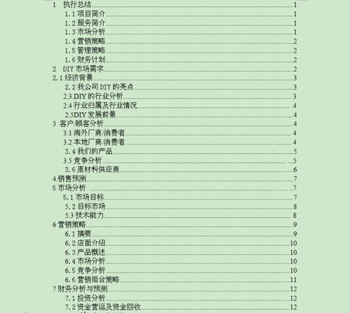diy的創(chuàng)新創(chuàng)業(yè)計(jì)劃書
