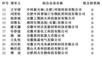 創(chuàng)業(yè)項目管理模式怎么寫,創(chuàng)新創(chuàng)業(yè)項目管理模式,大學生創(chuàng)新創(chuàng)業(yè)項目管理