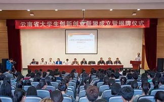 云南創(chuàng)新創(chuàng)業(yè)大賽決賽,云南創(chuàng)新創(chuàng)業(yè)大賽決賽名單,云南經濟管理學院創(chuàng)新創(chuàng)業(yè)學院