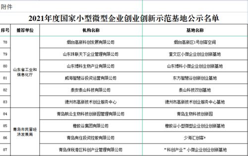 創(chuàng)業(yè)創(chuàng)新基地支出明細