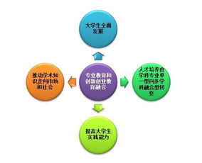 我國高校創(chuàng  )新創(chuàng  )業(yè)人才培養目標