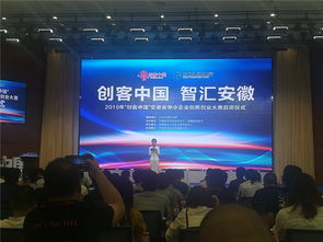 2019創(chuàng)客中國安徽省創(chuàng)新創(chuàng)業(yè)復(fù)賽