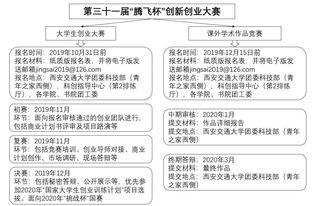 創(chuàng)新創(chuàng)業(yè)實(shí)驗(yàn)性計(jì)劃項(xiàng)目