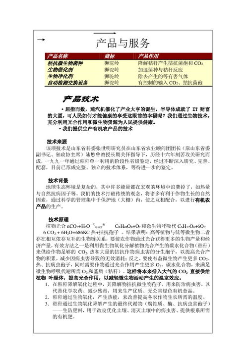 創(chuàng  )新創(chuàng  )業(yè)策劃書(shū)校園