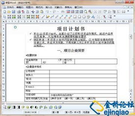創(chuàng  )新創(chuàng  )業(yè)計劃書(shū)項目總結