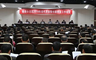 創(chuàng)新,會(huì)議,文件,創(chuàng)業(yè)