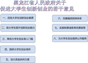 促進大學生創(chuàng)新創(chuàng)業(yè)的意見