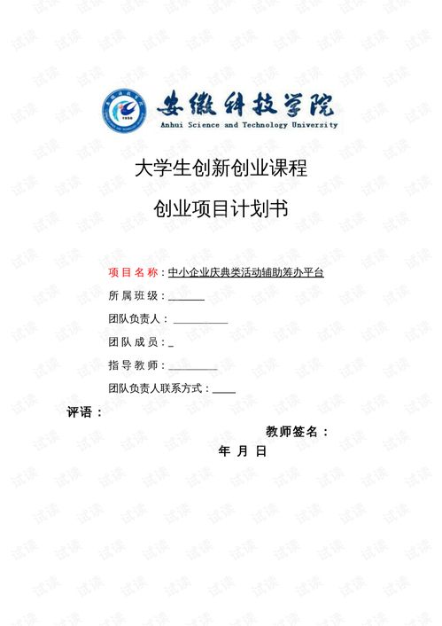 計劃書(shū),大綱,創(chuàng  )新,創(chuàng  )業(yè)