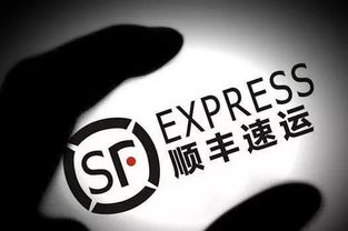 順豐創(chuàng  )業(yè)創(chuàng  )新獎的評價(jià)