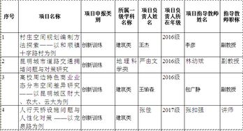 創(chuàng)新創(chuàng)業(yè)項目級別怎么填寫,大學(xué)生創(chuàng)新創(chuàng)業(yè)項目計劃書,互聯(lián)網(wǎng)+大學(xué)生創(chuàng)新創(chuàng)業(yè)項目