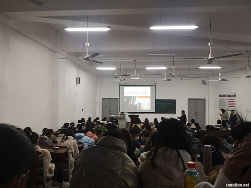 師范生創(chuàng)新創(chuàng)業(yè)方式有哪些,師范生創(chuàng)新創(chuàng)業(yè)實(shí)踐報告,師范生創(chuàng)業(yè)創(chuàng)新計劃書