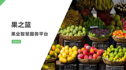 創(chuàng)新創(chuàng)業(yè)計(jì)劃書大學(xué)生直播