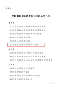 實(shí)訓,創(chuàng  )新,創(chuàng  )業(yè),論文
