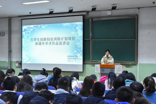 創(chuàng)新創(chuàng)業(yè)實訓的收獲與體會,創(chuàng)業(yè)實訓收獲和體會,創(chuàng)新創(chuàng)業(yè)實戰(zhàn)實訓收獲與體會