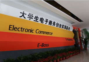 電氣專業(yè)創(chuàng)新創(chuàng)業(yè)實訓總結(jié)