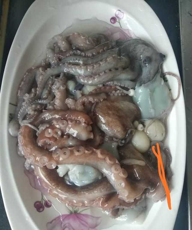 八爪魚的哪些部位不能吃
，八爪魚怎么吃好吃？哪里不能吃？圖3