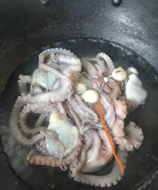 八爪魚的哪些部位不能吃
，八爪魚怎么吃好吃？哪里不能吃？圖5