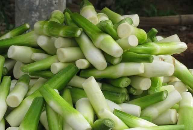 茭白發(fā)綠了還能吃嗎，茭白的葉子可以剪掉嗎？圖10