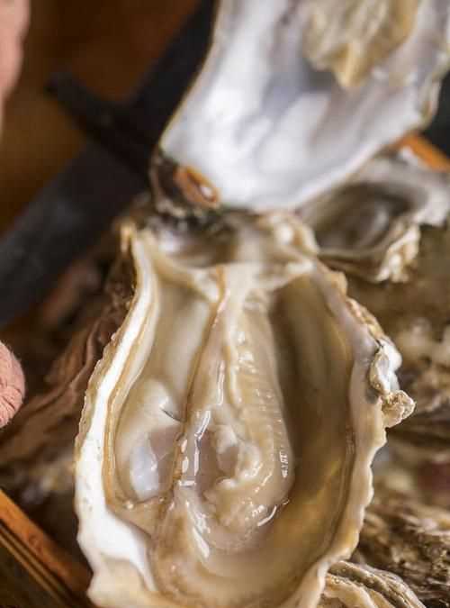 生蠔撬開(kāi)后肉還要洗嗎,生蠔打開(kāi)后需要清洗 生蠔打開(kāi)后能放多久