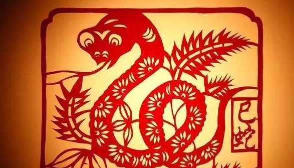 冬天不出來(lái)活動(dòng)的動(dòng)物有哪些,什么動(dòng)物冬天不運動(dòng)圖4
