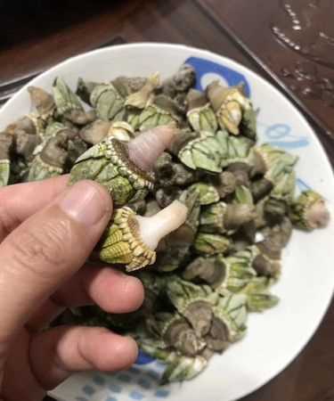 藤壺和佛手是一樣嗎,萬能的網友知道這是什么海鮮