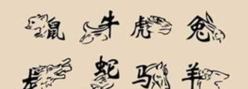 九九歸一出奇數(shù)打一個生肖