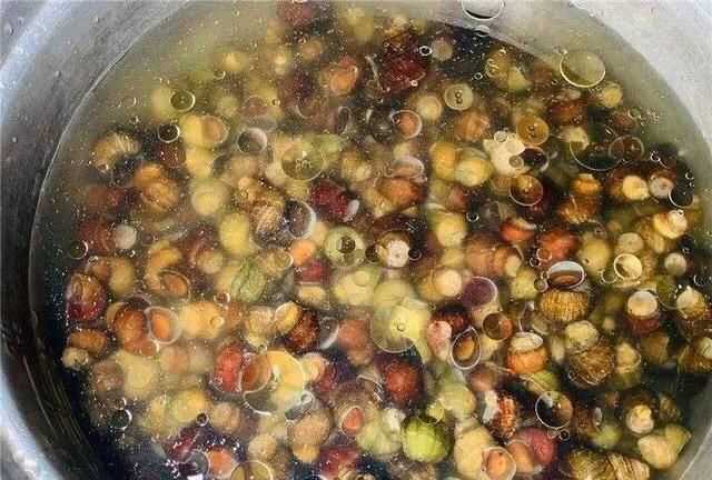 螺絲肉的功效與作用，螺絲肉怎么炒好吃？圖5