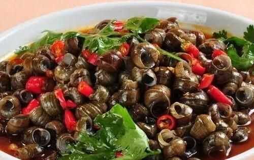 螺絲肉的功效與作用，螺絲肉怎么炒好吃？圖6