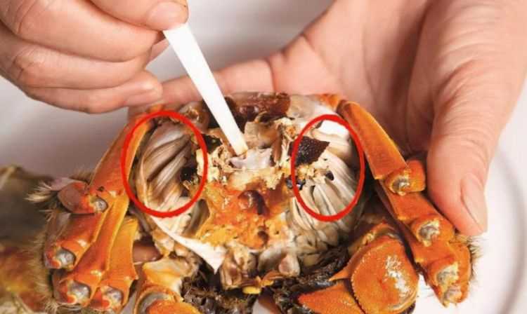 沒(méi)煮熟的螃蟹吃了會(huì )怎么樣嗎