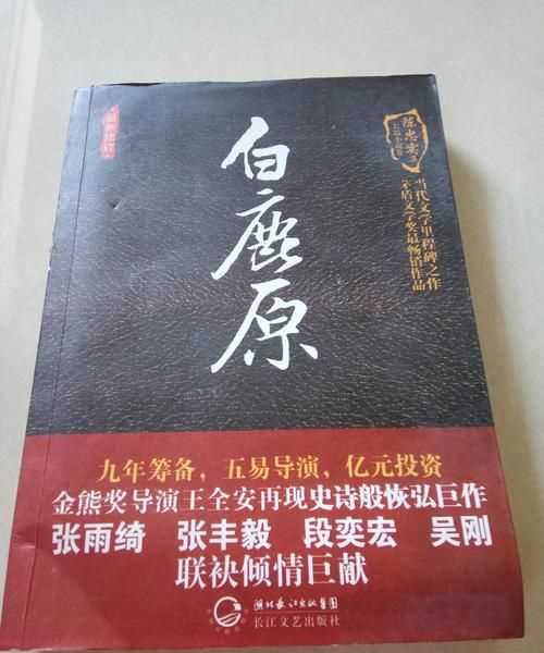 白鹿原講述了一個(gè)什么樣的故事