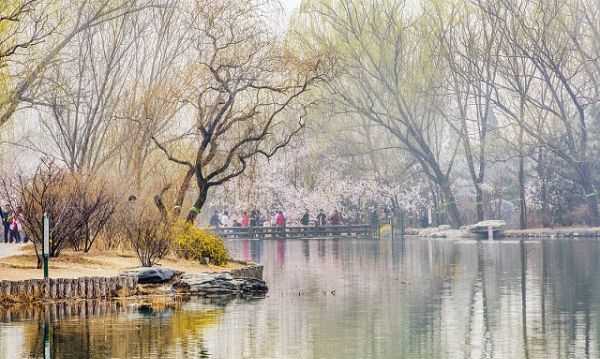 伏羲洞的由來(lái),酉陽(yáng)桃花源的太古洞就是伏羲洞嗎圖3