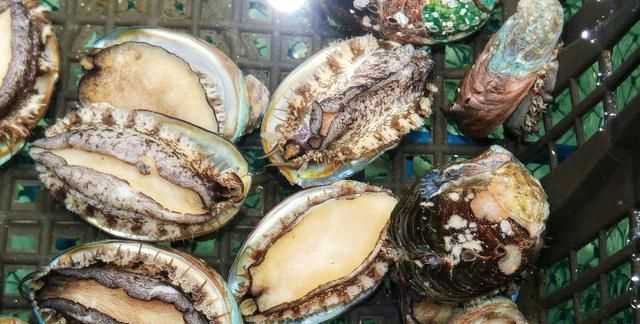 鮑魚要去內(nèi)臟嗎，鮑魚蒸地時(shí)候要去內(nèi)臟嗎？圖3