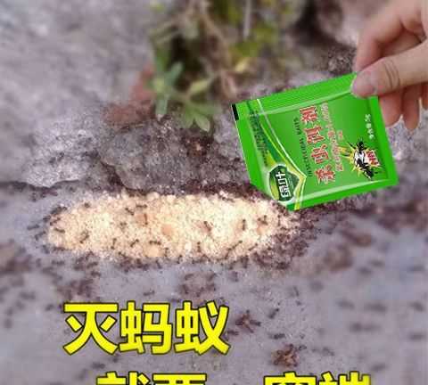 螞蟻藥什么時(shí)候見(jiàn)效