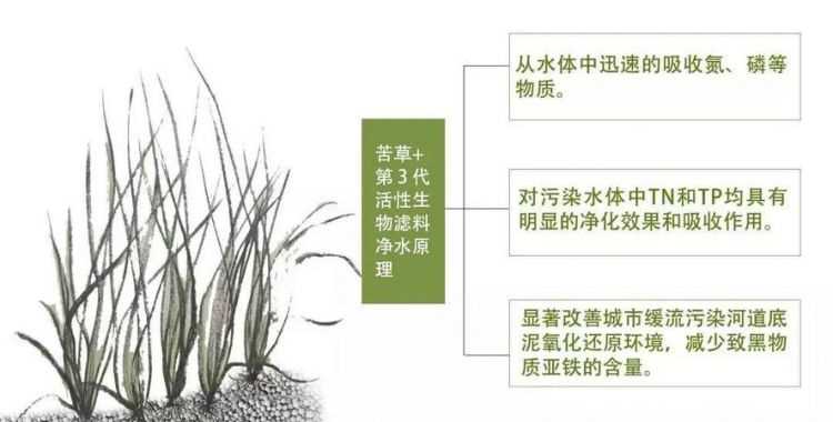 濕地對(duì)水庫的作用