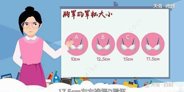 文胸尺寸，文胸尺碼表是以什么為對(duì)照表？圖3