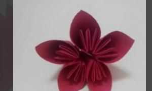 花怎么折，紙花怎么做？圖7