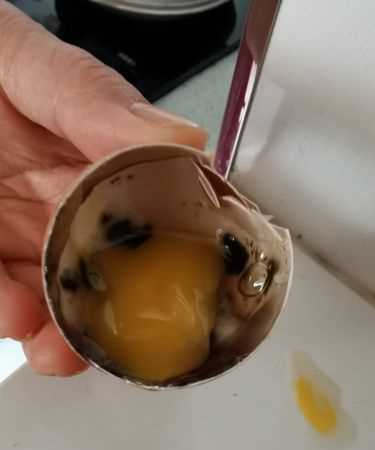 煮熟的雞蛋變質(zhì)了吃了會(huì )怎樣