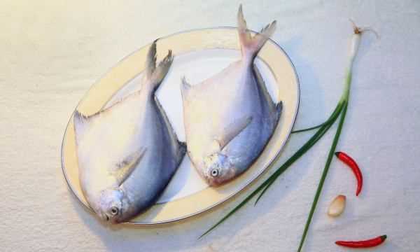 鯧魚(yú)怎么做最好吃又簡(jiǎn)單,鯧魚(yú)怎么做好吃又簡(jiǎn)單圖1