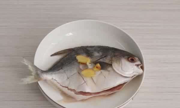 鯧魚(yú)怎么做最好吃又簡(jiǎn)單,鯧魚(yú)怎么做好吃又簡(jiǎn)單圖4