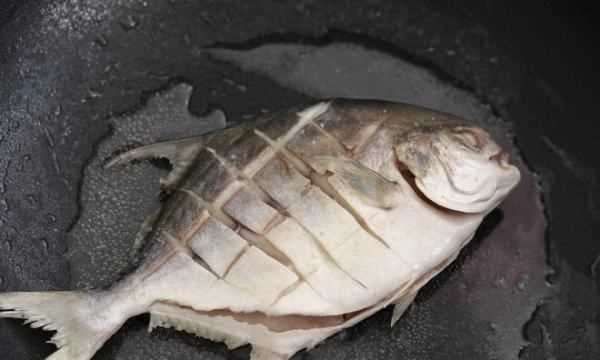 鯧魚(yú)怎么做最好吃又簡(jiǎn)單,鯧魚(yú)怎么做好吃又簡(jiǎn)單圖5