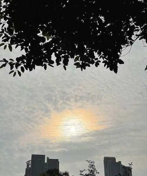 雨過(guò)天晴打一生肖是什么