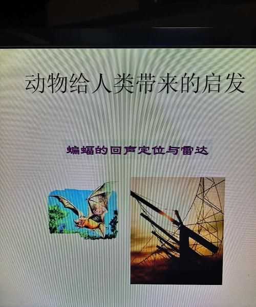 人們從哪些動(dòng)物身上得到了什么啟示