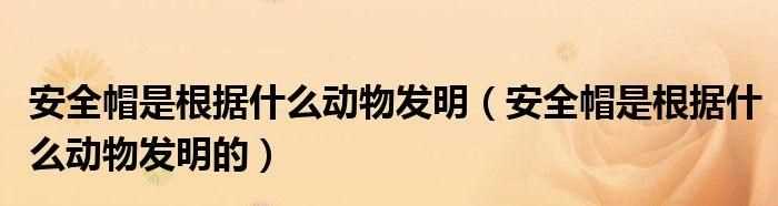 人類從什么動(dòng)物身上得到啟示發(fā)明了什么寫兩個(gè)
