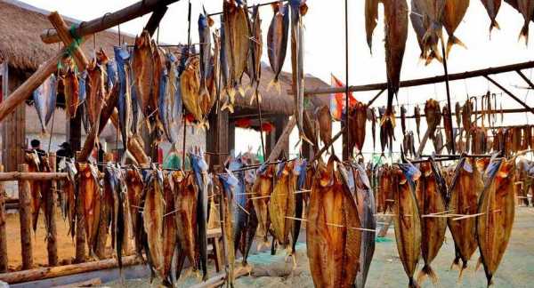 曬干的小咸魚(yú)怎么做好吃,干咸魚(yú)怎么做好吃又簡(jiǎn)單的方法圖2